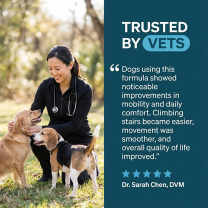 Hip + Joint Chews Support for Dogs (100 counts)